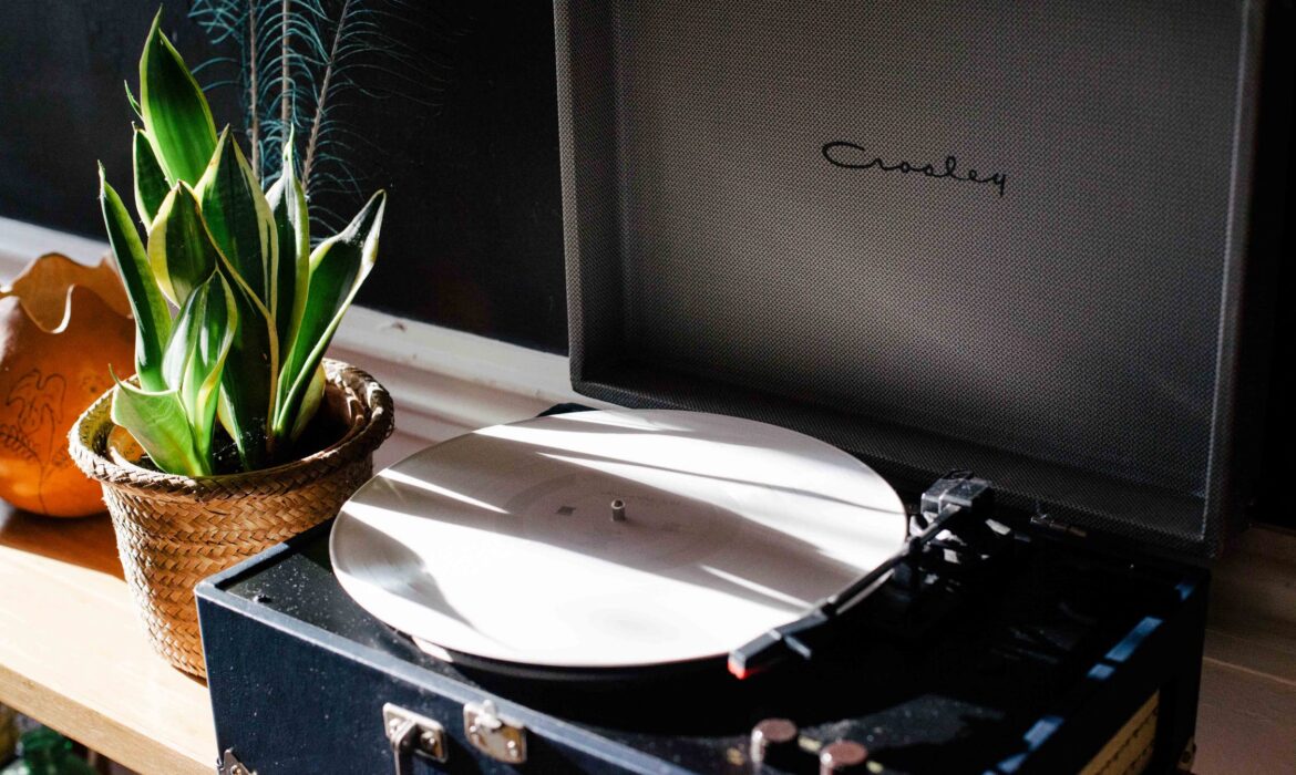 light-vintage-plant-morning
