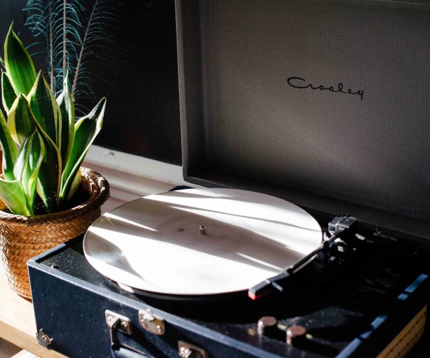 light-vintage-plant-morning