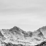 pexels-photo-3557478