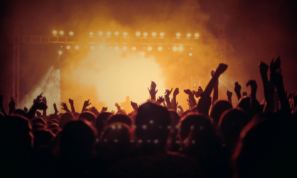 Crowd in a music concert