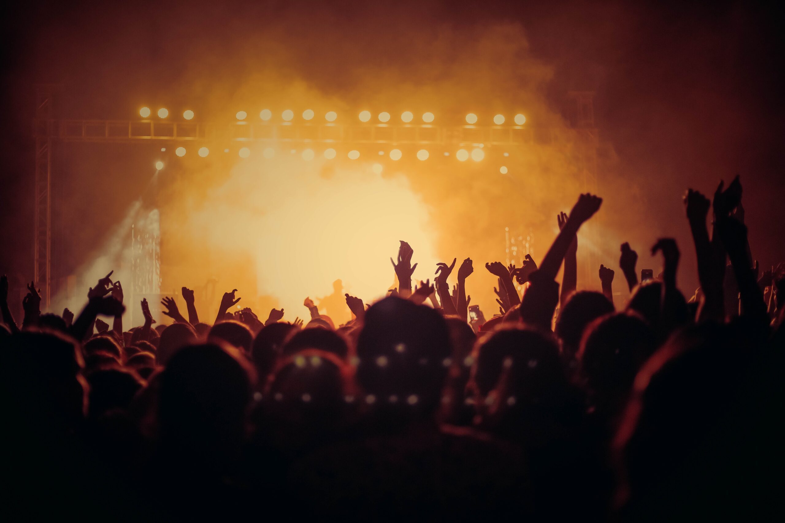 Crowd in a music concert