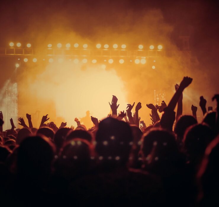 Crowd in a music concert