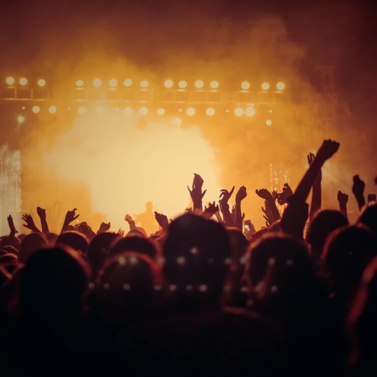 Crowd in a music concert