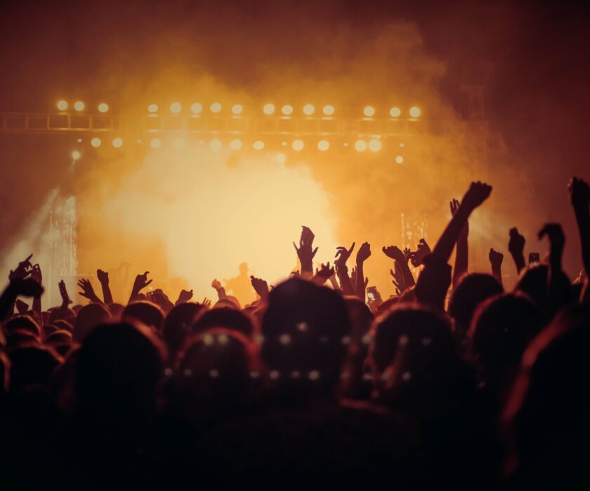 Crowd in a music concert